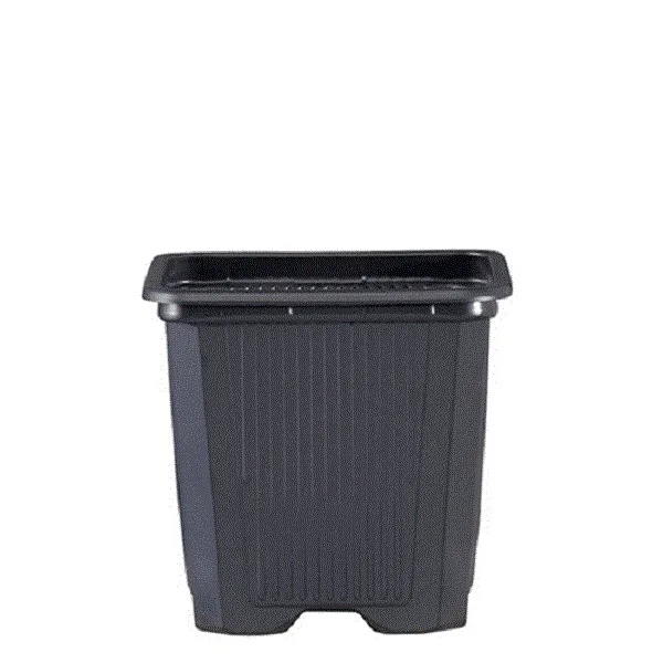 Maceta Cuadrada Negra / Gris 9 x 9 x 10 cm. 0.6 lt. - 50 ud.