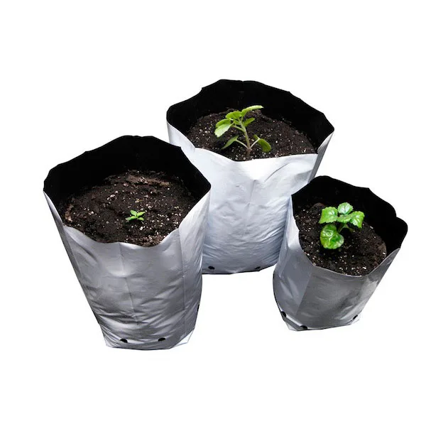 Bolsa Cultivo Blanca 8.8 lt. 2 gal. - 32.5 cm. 50 ud.